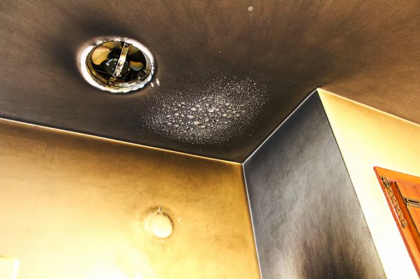 Smoke Damage Remediation in Georgetown